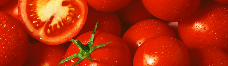 Tomato