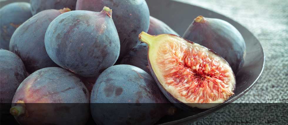 Fig