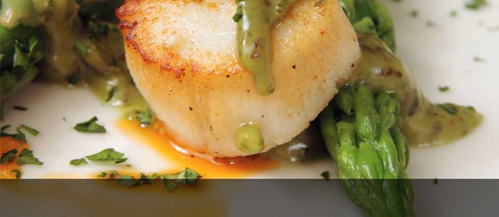 Scallop