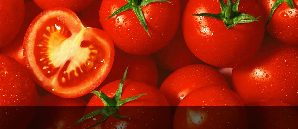 Tomato
